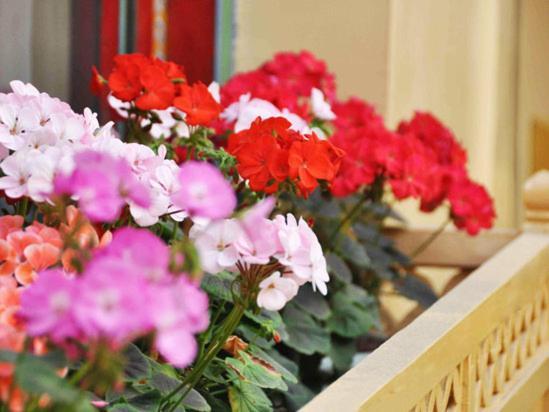 Tashitakge Hotel Lhasa Zewnętrze zdjęcie